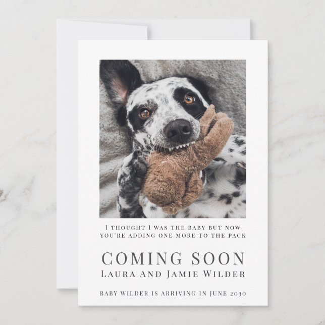 Rolig hund Foto Kommer snart Meddelande (Framsida)
