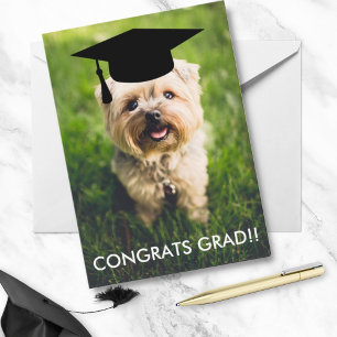 Rolig hund fotokort för Studenten, Hund för Anpass Kort