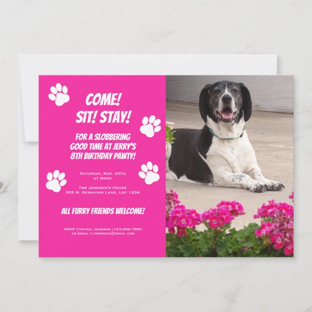 Rolig hund fotomall Födelsedagsfest inbjudan (Framsida)