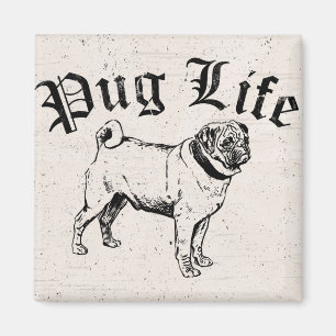 Rolig hund gangster för mopsliv magnet