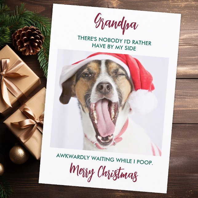 Rolig hund Grandpa Pet Photo Granddog-jul Julkort (Skapare uppladdad)