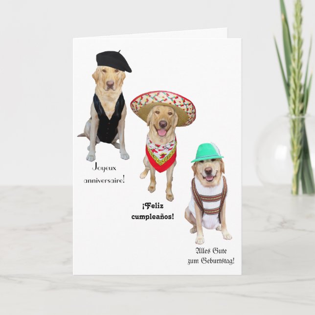 Rolig hund Grattis på födelsedagen på fyra språk Kort (Framsida)
