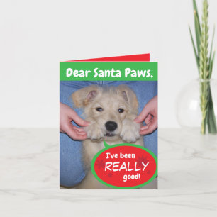 Rolig hund gratulationskort för Helgdag i Santa Ta Helgkort