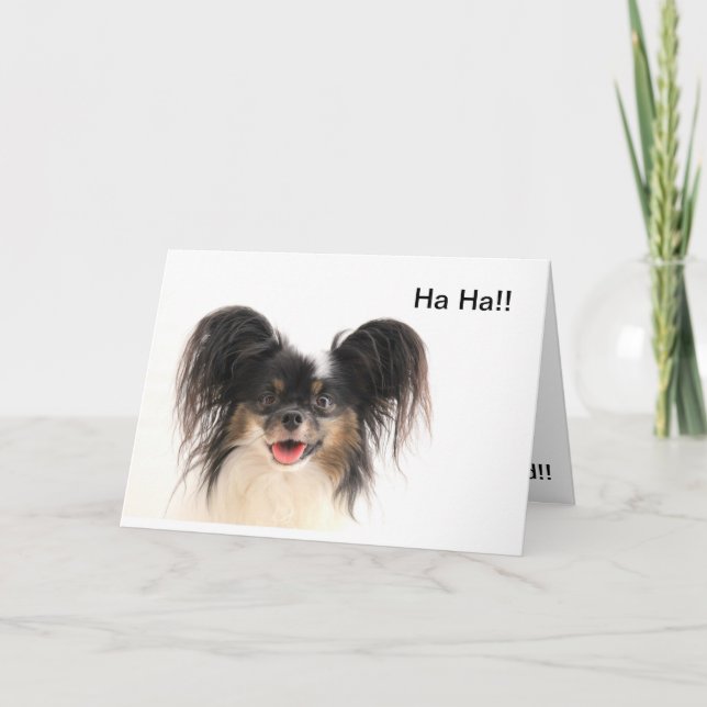 Rolig hund Ha ha, är du det gammala Kort (Framsida)