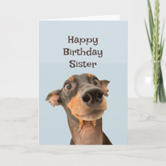 Rolig hund Humor-kort för grattis på födelsedagen- Kort