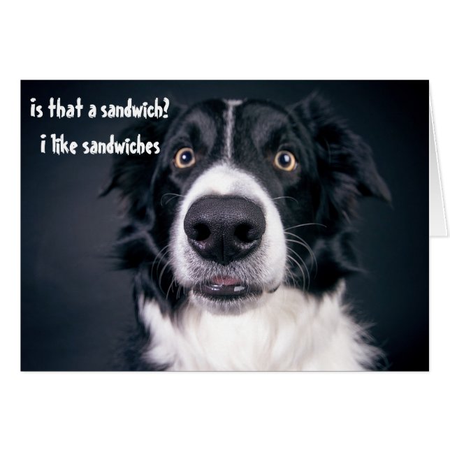 Rolig hund Hungrig som Sandwiches Gräns Collie Hälsningskort (Framsidan Horizontal)