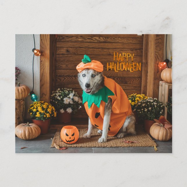 Rolig hund i Halloween Costume Helg Vykort (Framsida)