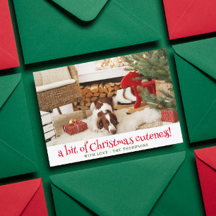 Rolig hund jul Bild Personlig Pet Photo Julkort