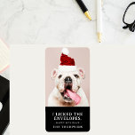 Rolig hund julfoto för Bild Personlig Adressetikett<br><div class="desc">Fånga kärnan i din hårigs helgdag charm med våra Rolig hund julfotomärken i Bild Personlig. De här porträtt-klistermärkena för husdjur i anpassningsbar är det perfekt sättet att tillföra humor och värme till dina julhälsningar. Ladda bara upp fotona till ditt husdjur, så skapar vi ett fint svart och vitt klistermärke som...</div>
