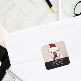 Rolig hund julfoto för Bild Personlig Fyrkantigt Klistermärke