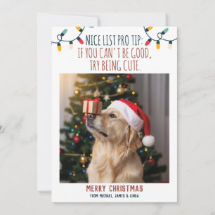 Rolig hund julfoto med anpassade namn julkort