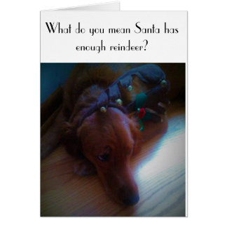 rolig hund julkort hälsningskort