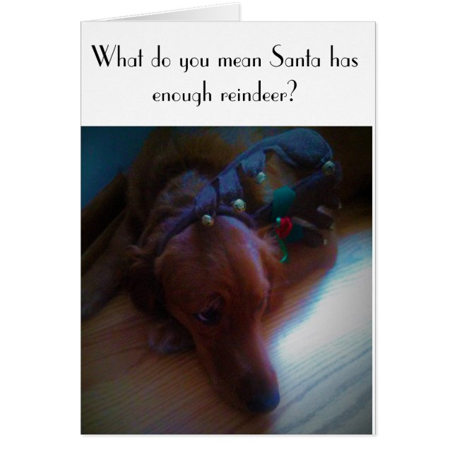 rolig hund julkort hälsningskort (Framsidan)