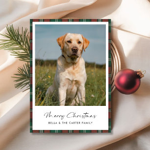 Rolig hund jullkort för Cute Pet-foto, inlagt Julkort