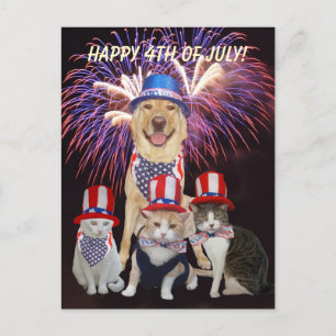 Rolig hund/katt 4 juli vykort