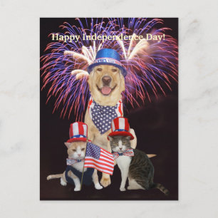 Rolig hund/katt 4 juli vykort