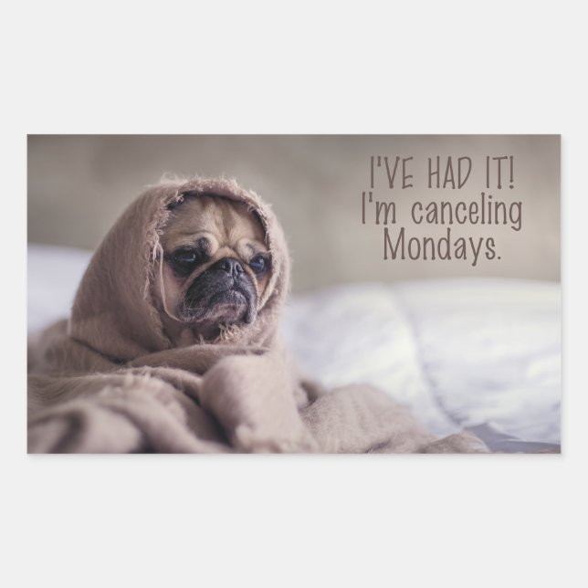 Rolig hund klistermärken (Framsida)