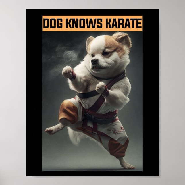 Rolig hund Knows Karate Poster (Framsidan)