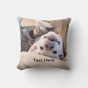Rolig Hund Kommer Inte Ignoreras Komisk Foto Kudde