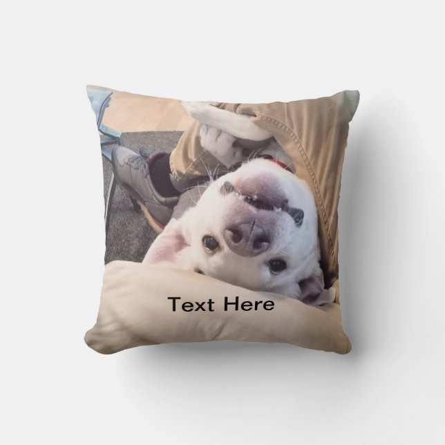 Rolig Hund Kommer Inte Ignoreras Komisk Foto Kudde (Framsida)