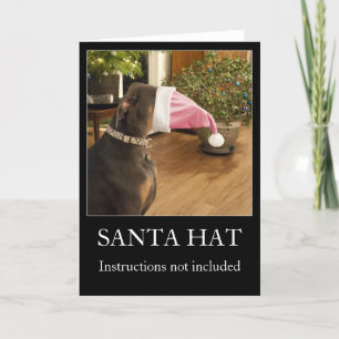 Rolig hund kort för hälsning för Santa hattjul