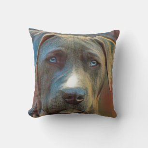Rolig hund kudde