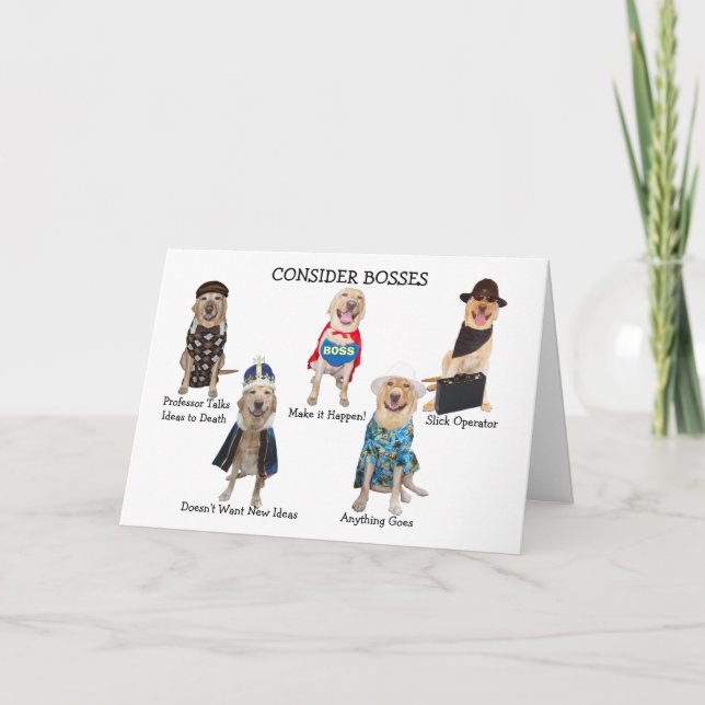 Rolig hund/Lab Chef-födelsedagen Kort (Framsida)