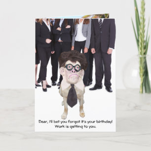 Rolig hund/labb för pappa eller manlig kort