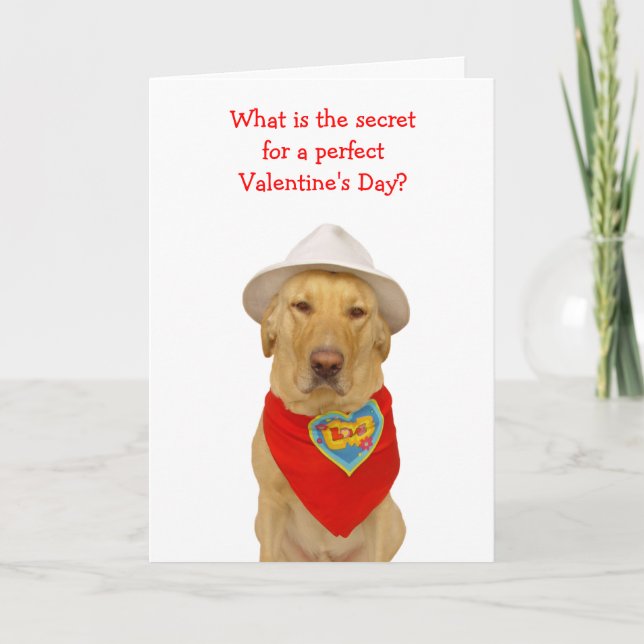 Rolig hund/labbvalentin för någon helgkort (Framsida)