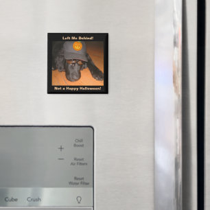 Rolig hund Lämnat bakom Halloween Magnet