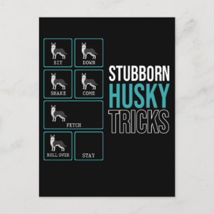 rolig hund Lazy Puppy Stubborn Husky Vykort
