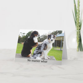 Rolig hund massagefoto helgkort