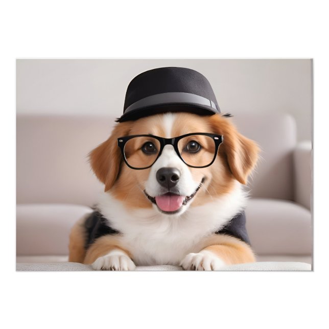 Rolig hund med glas och hatt fototryck (Framsidan)