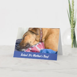 Rolig hund Mors dag-kort Kort