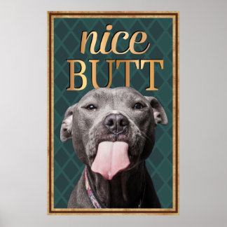 Rolig hund Nicefördraget, men Bathroom Wall Art Poster