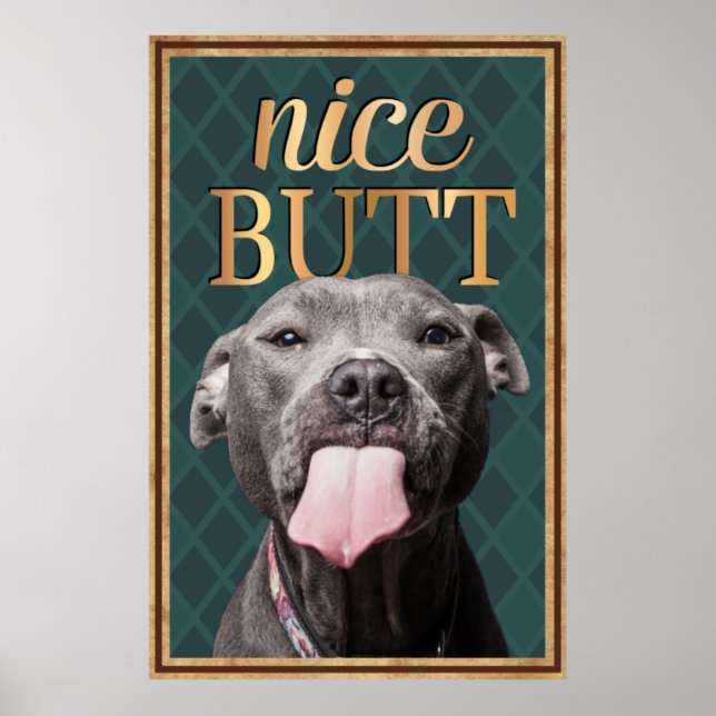 Rolig hund Nicefördraget, men Bathroom Wall Art Poster (Framsidan)