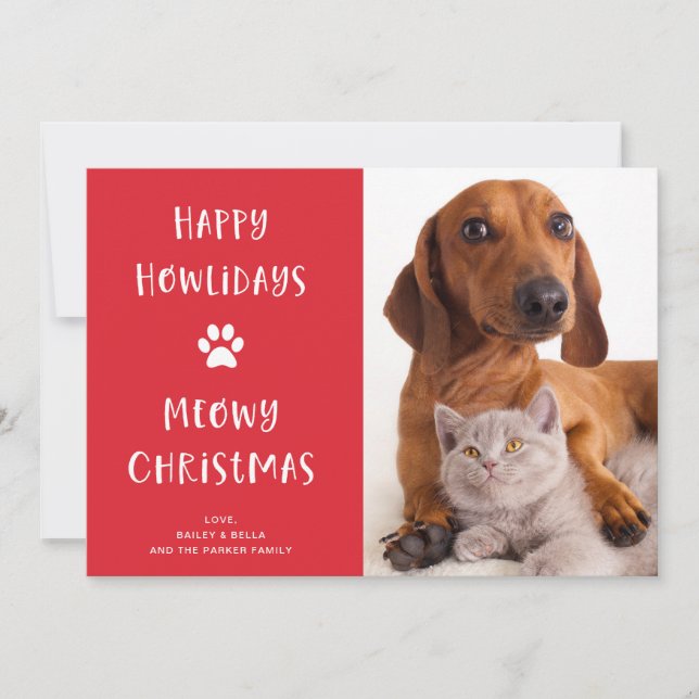 Rolig hund och katt jul med foto julkort (Framsida)