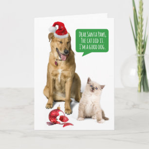 Rolig hund och katt med bruten prydnadsjul helgkort