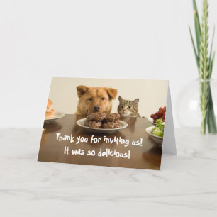 Rolig hund och katt tack för middagskortet kort