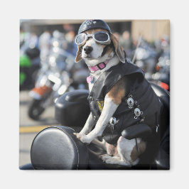 Rolig hund på motorcykelfoto magnet