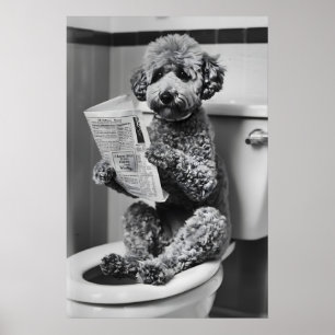 Rolig Hund på Toalett Tryck Vintage Stil Badrum