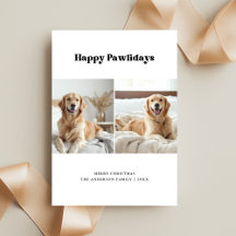 Rolig hund Photo Golden Retriever Pawlidays Pet