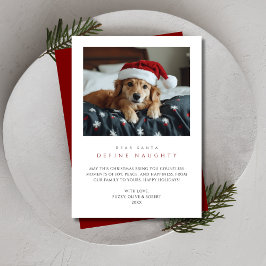 Rolig hund Photo Jul Define Naughty Red Pet Julkort