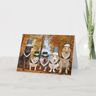 Rolig hund  Pilgrims Thanksgiving Card för anpassa Helgkort