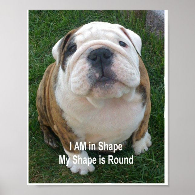 Rolig hund Poster Creationarts av Bulldog Pet Hund (Framsidan)