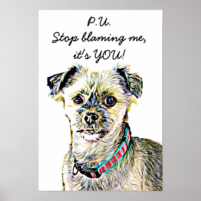 Rolig hund Poster inställning (Framsidan)