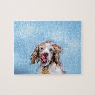 Rolig hund pussel