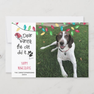Rolig hund Say Helgdag Ljus Photo Hund Namn Julkort
