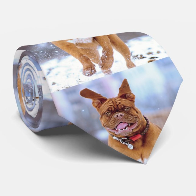 Rolig hund slips (Rullad)