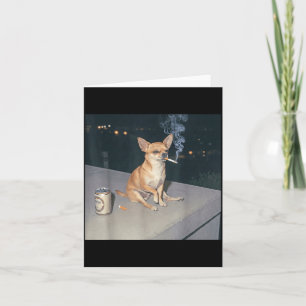 Rolig hund som röker chihuahua meme cigarett öl kort
